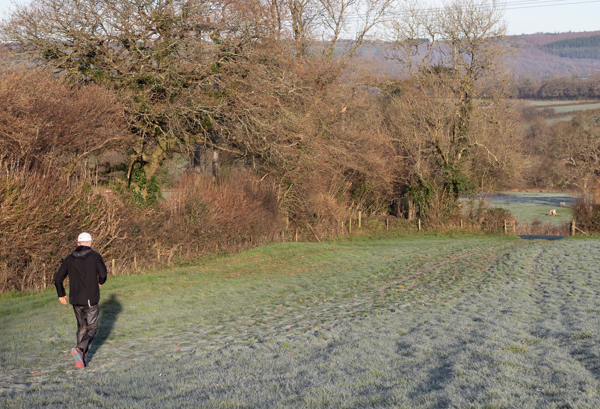 Featured image for “Conners Run for Charity”